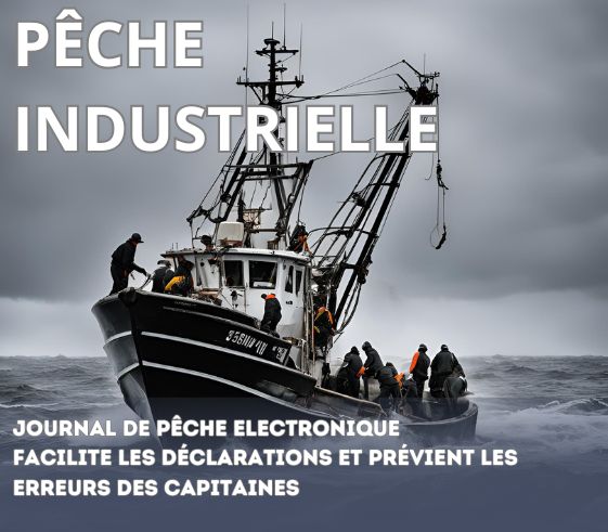 Pêche industrielle